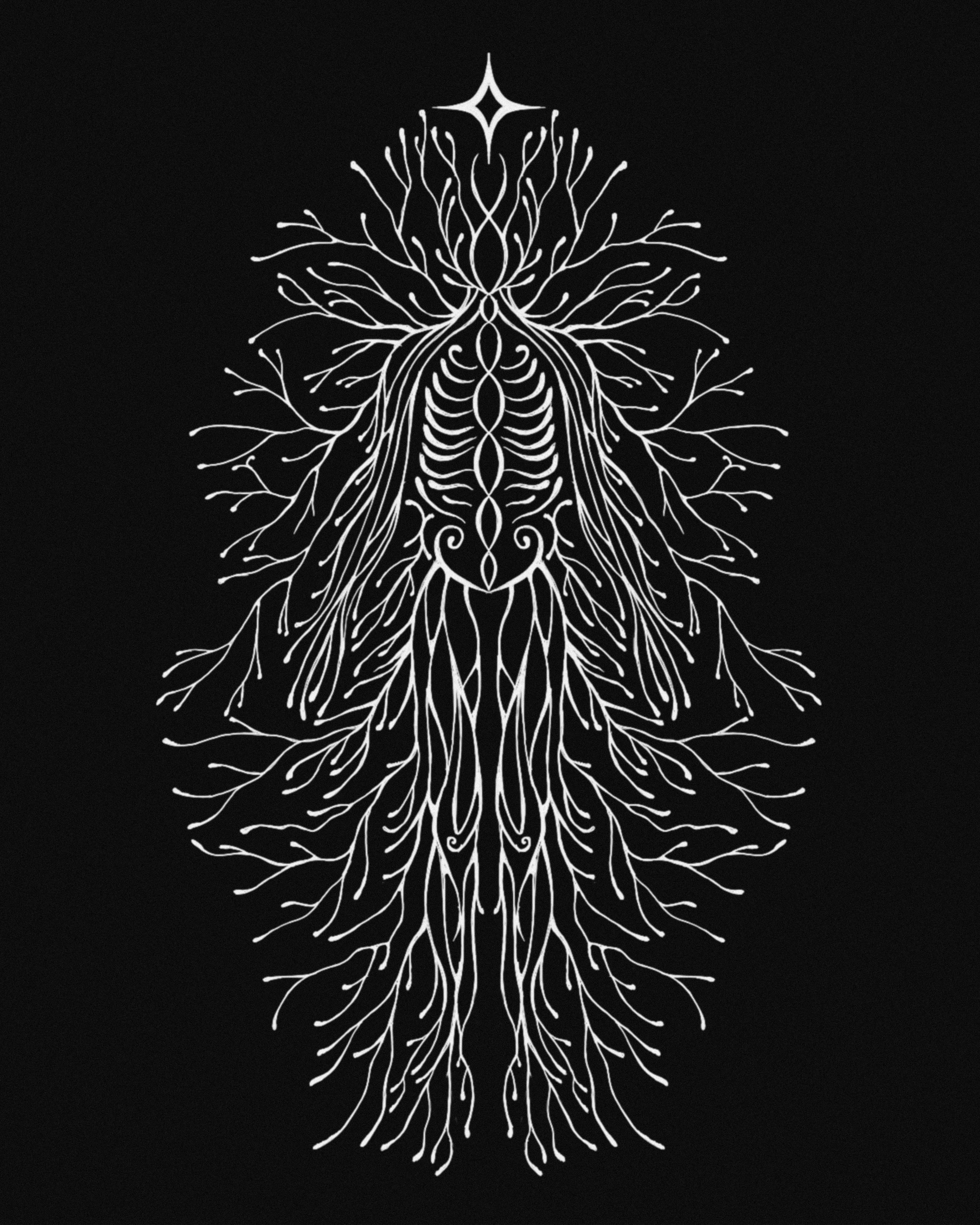 Branching root and rib figure illustration