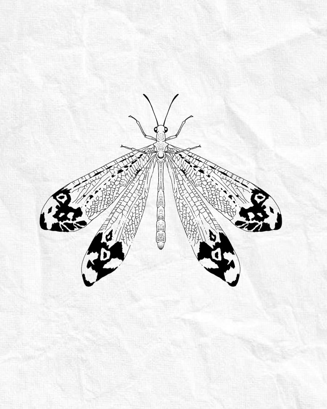 Flash design 8 — pre-designed tattoo available for booking
